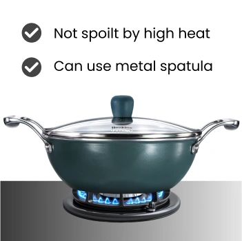 Induction Compatible Olive PRO Deep-Fry Pan 2.5 Litre with Glass Lid (POSK25G) - Detail View