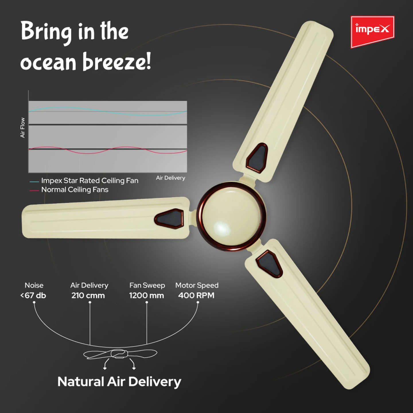 Impex Whizstar 1200 mm Ceiling Fan ,CF31 - Alternate View